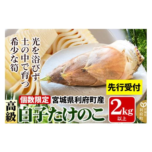 ふるさと納税 野菜類 山菜 宮城県 利府町 タケノコ 2027年発送 先行受付 宮城県 利府町産 採れたて 高級白子たけのこ 皮付き2kg以上(2〜6本)筍 野菜 国産 新…