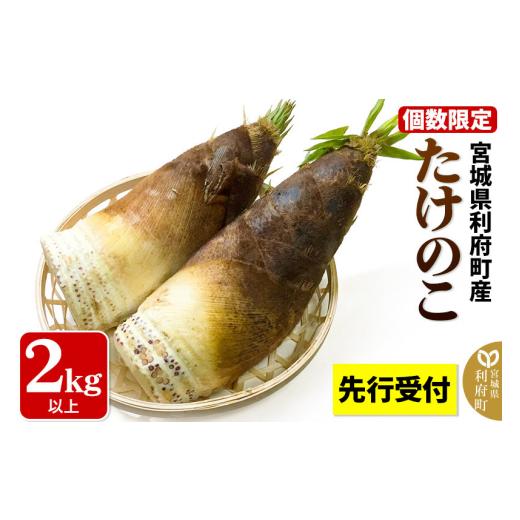 ふるさと納税 野菜類 山菜 宮城県 利府町 タケノコ 2027年発送 先行受付 宮城県 利府町産 採れたて たけのこ 皮付き2kg以上(2〜6本)筍 野菜 国産 新鮮 旬 先…