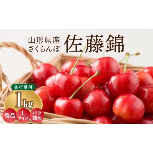 ふるさと納税 果物類 さくらんぼ 山形県 大江町 [先行受付]さくらんぼ 佐藤錦 1kg 秀品 Lサイズ バラ詰め 2026年6月中旬頃〜発送予定 山形県産さくらんぼ 00…