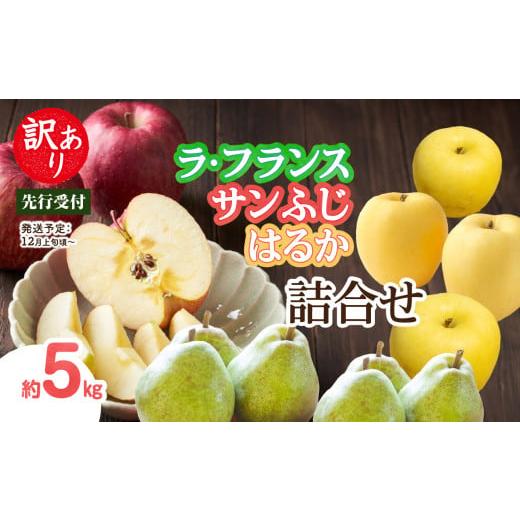 ふるさと納税 りんご 山形県 大江町 [先行受付]訳あり「ラフランス」「サンふじ」「はるか」約5kg詰合せ 2026年12月上旬〜発送予定 大江町産・山形りんご・…