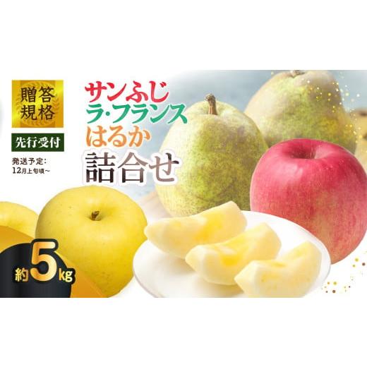 ふるさと納税 りんご 山形県 大江町 [先行受付]贈答規格「サンふじ」「ラフランス」「はるか」約5kg詰合せ(特秀〜秀) 2026年12月上旬〜発送予定 大江町産…