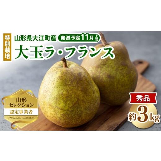 ふるさと納税 梨 山形県 大江町 [先行受付]特別栽培 大玉 ラフランス 約3kg・秀品4L〜3L 2026年11月上旬頃〜発送予定 025-016