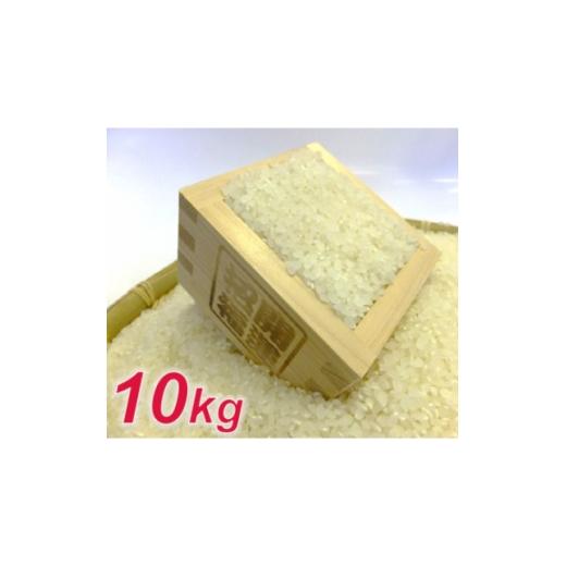 ふるさと納税 米 コシヒカリ 千葉県 館山市 令和7年産 お米マイスター厳選 一等米コシヒカリ 精米 10kg 1486500