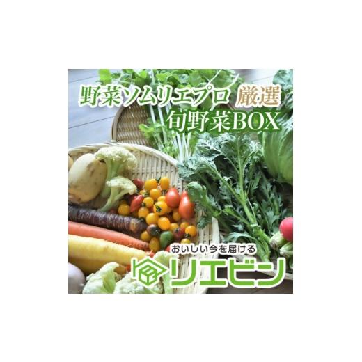 ふるさと納税 セット・詰合せ 千葉県 館山市 野菜ソムリエプロ厳選 こだわりの旬野菜BOX「リエビン」季節の野菜セット 1488314の画像