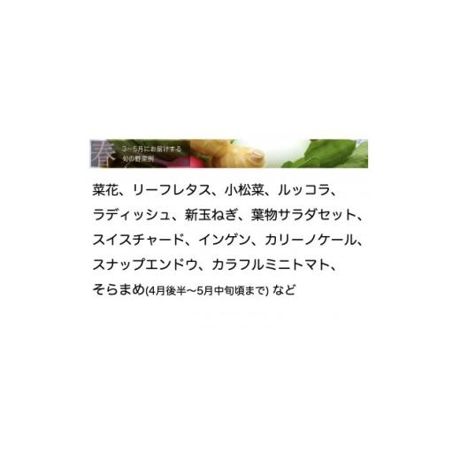 ふるさと納税 セット・詰合せ 千葉県 館山市 野菜ソムリエプロ厳選 こだわりの旬野菜BOX「リエビン」季節の野菜セット 1488314の画像