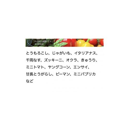 ふるさと納税 セット・詰合せ 千葉県 館山市 野菜ソムリエプロ厳選 こだわりの旬野菜BOX「リエビン」季節の野菜セット 1488314の画像