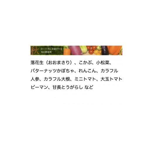 ふるさと納税 セット・詰合せ 千葉県 館山市 野菜ソムリエプロ厳選 こだわりの旬野菜BOX「リエビン」季節の野菜セット 1488314の画像