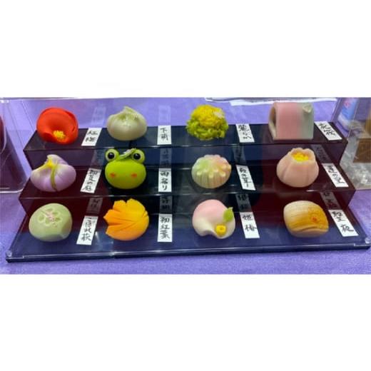 ふるさと納税 和菓子 和菓子セット・詰め合わせ 茨城県 坂東市 新進気鋭の三代目が造る上生菓子セット ／ 和菓子 おかし スイーツ 茨城県 No.691の画像