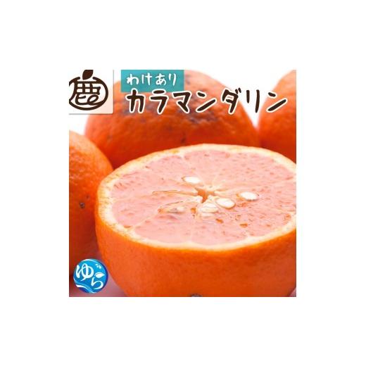 ふるさと納税 みかん・柑橘類 オレンジ 和歌山県 由良町 カラマンダリン 家庭用 5kg+250g(傷み補償分)/ カラオレンジ みかん 南津海 なつみ 訳あり 和歌山 …