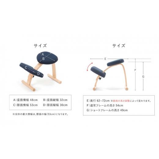 ふるさと納税 雑貨・日用品 インテリア 岐阜県 美濃市  No.5308-7285 0372バランスイージーカバー付きとイージーライティングボードLのセット 通常ブラック+…の画像