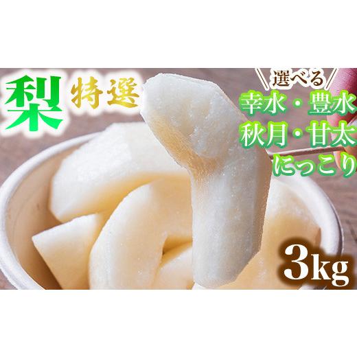 ふるさと納税 梨 栃木県 宇都宮市 甘太 選べる 梨 特選 3kg 標準箱 幸水 豊水 秋月 甘太 にっこり | 栃木県産 果物 フルーツ 離島への配送不可 甘太