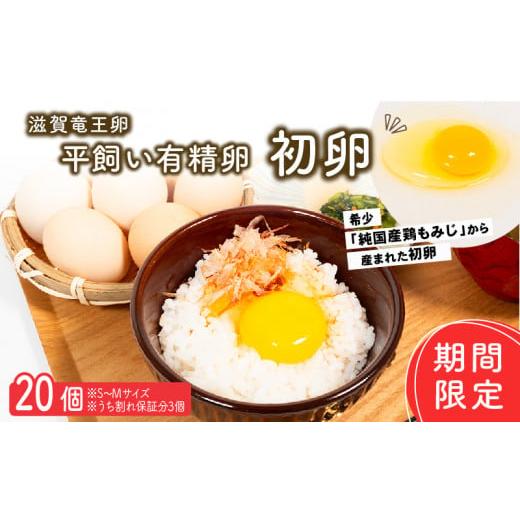 ふるさと納税 卵(鶏、烏骨鶏等) 滋賀県 竜王町 期間限定 初卵 平飼い有精卵 20個 ( 数量限定 滋賀竜王卵 新鮮 平飼い 卵 純国産 鶏もみじ 大人気 たまご 鶏…
