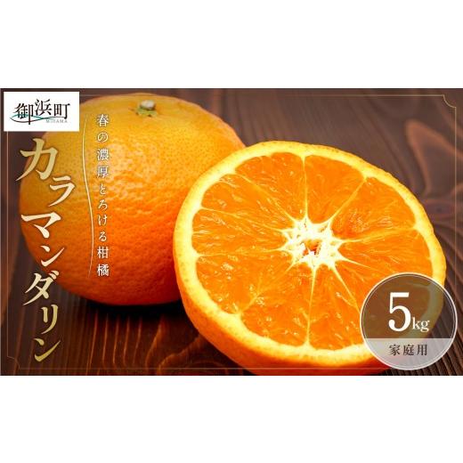 ふるさと納税 果物類 みかん 三重県 御浜町 2027年発送先行予約品 ミカファームのカラマンダリン5キロ(家庭用) 数量限定 果物 フルーツ みかん オレンジ カ…