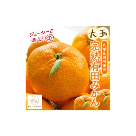 ふるさと納税 果物類 みかん 和歌山県 美浜町 2026年11月上旬〜発送 果汁たっぷり 迫力満点 大粒 有田みかん 2.7kg(2.5kg+200g(傷み補償分))