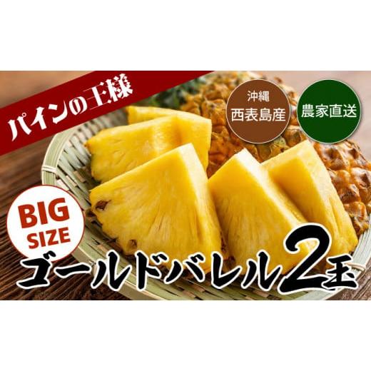 ふるさと納税 果物類 沖縄県 竹富町 2026年発送 ゴールドバレルビッグな2玉セット 数量2玉 内容量約3.0kg前後