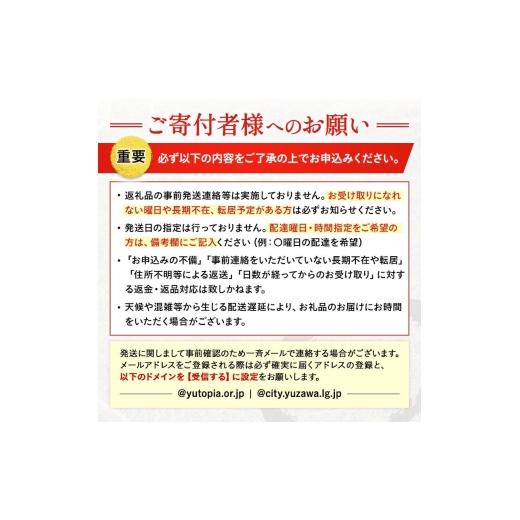 ふるさと納税 うどん 乾めん 秋田県 湯沢市 いなにわうどん 90g 露いささかも付き添い人(1人前)×10個 (一社)湯沢市観光旅行物産連盟 M7501