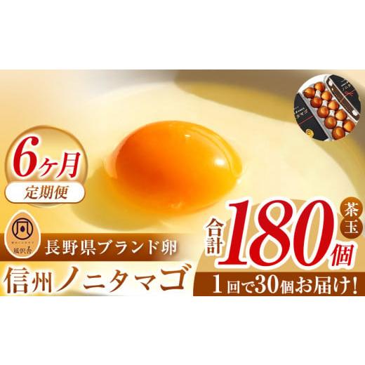 ふるさと納税 長野県 松本市 [6か月定期配送]信州ノニタマゴ 茶玉30個