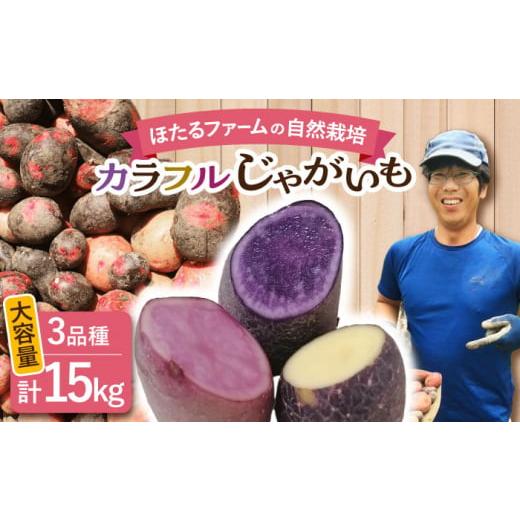ふるさと納税 野菜類 じゃがいも 岐阜県 多治見市 数量限定 先行予約 自然栽培のじゃがいも 3種類 約15kg ほたるファーム 野菜 芋 国産