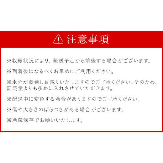 ふるさと納税 群馬県 安中市 旬をお届け！青梅【Mサイズ10kg】 ANAR020｜furusatochoice｜09