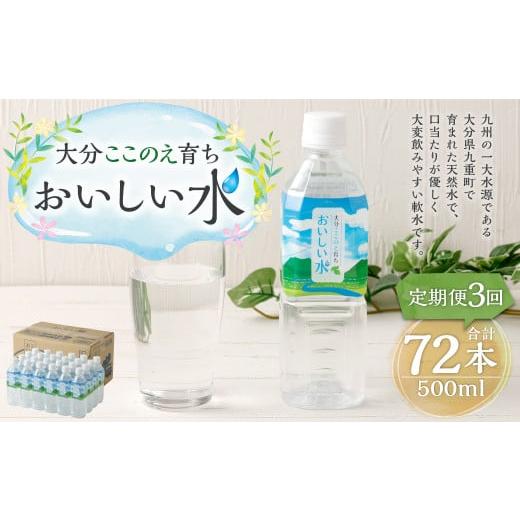 ふるさと納税 水・ミネラルウォーター 500mL〜999mL 大分県 九重町  3ヶ月定期便 大分 ここのえ育ち おいしい 水 500ml×24本 合計72本の画像