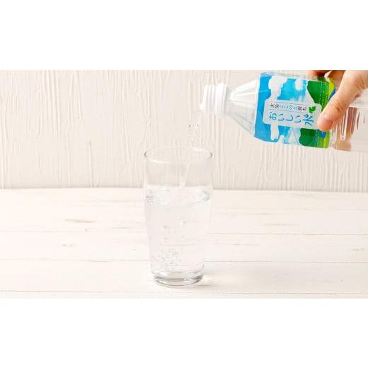 ふるさと納税 水・ミネラルウォーター 500mL〜999mL 大分県 九重町  3ヶ月定期便 大分 ここのえ育ち おいしい 水 500ml×24本 合計72本の画像