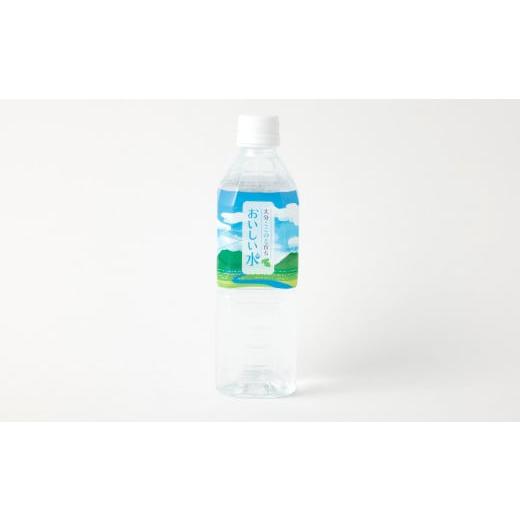 ふるさと納税 水・ミネラルウォーター 500mL〜999mL 大分県 九重町  3ヶ月定期便 大分 ここのえ育ち おいしい 水 500ml×24本 合計72本の画像