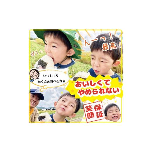 ふるさと納税 新潟県 佐渡市 ”ベストファーマー認証受賞歴”  佐渡島産コシヒカリ 白米25Kg(5Kg×5袋)【令和5年産】特別栽培米｜furusatochoice｜05