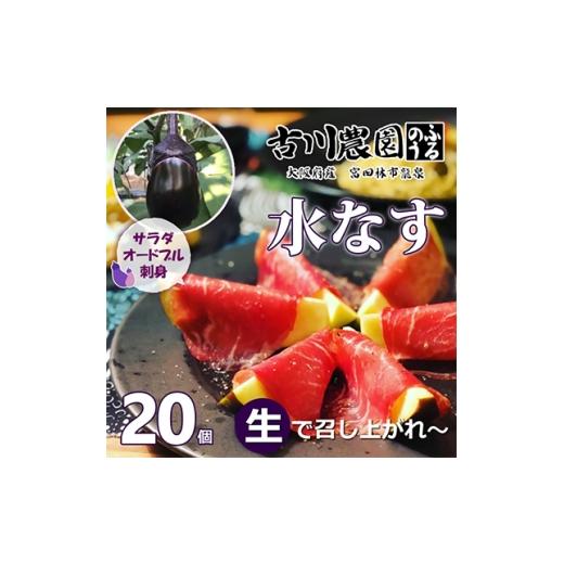 ふるさと納税 野菜類 茄子 大阪府 富田林市 20本 古川農園 「生水なす」2個入×10袋 そのまま食べられる青果で水なすを産地直送でお届け 1484515