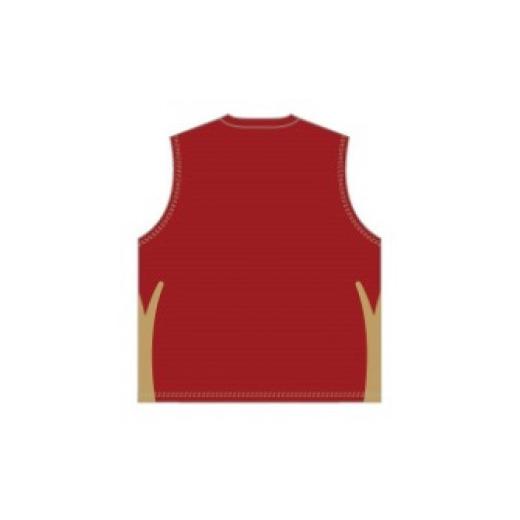 ふるさと納税 スポーツ・アウトドア 奈良県 奈良市 バンビシャス奈良 レプリカシャツ（Oサイズ） H-128_2
