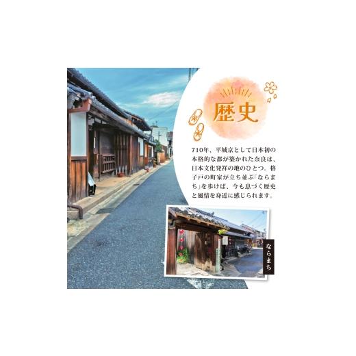 ふるさと納税 スポーツ・アウトドア 奈良県 奈良市 バンビシャス奈良 レプリカシャツ（Oサイズ） H-128_5