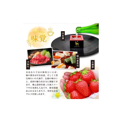 ふるさと納税 スポーツ・アウトドア 奈良県 奈良市 バンビシャス奈良 レプリカシャツ（Oサイズ） H-128_6