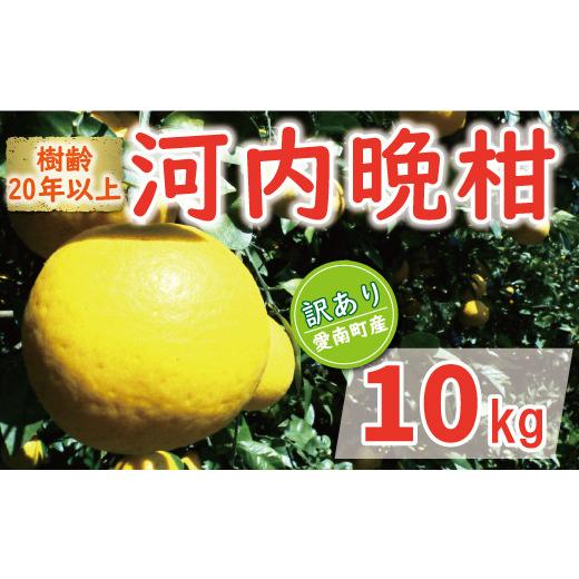 ふるさと納税 愛媛県 愛南町 訳あり 木成り 河内晩柑 樹齢 20年以上 10kg 7000円 先行予約 (発送期間:5月中旬〜無くなり次第終了) みかん かわちばんかん …