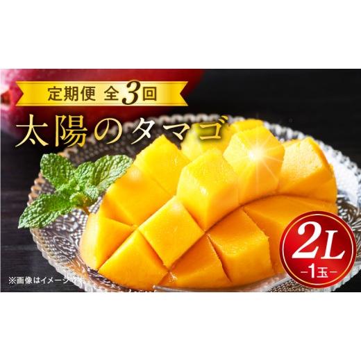 ふるさと納税 マンゴー 宮崎県 宮崎市 [2026年発送先行予約] 数量・期間限定 太陽のタマゴ2L1玉定期便 全3回