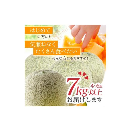 庄内砂丘メロン | [通販/ギフト/お取り寄せ]山形土産,名物,特産品は