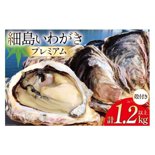 ふるさと納税 牡蠣 生牡蠣 宮崎県 日向市 牡蠣 細島天照岩牡蠣 プレミアム 4個 計1.2kg 殻付き 期間限定発送 一福丸 宮崎県 日向市 452060572 生食 かき カキ …
