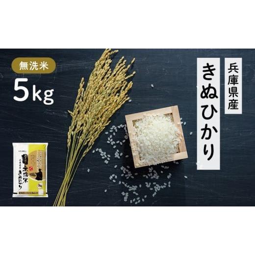 ふるさと納税 米 兵庫県 小野市 兵庫県産 キヌヒカリ 無洗米 5kg お米 米 おいしい きぬひかり 兵庫県 小野市 精米 白米 ご飯 手間いらず 白さ 輝き 絹 粘り …