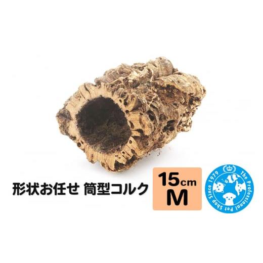 ふるさと納税 生き物 群馬県 邑楽町 形状お任せ 筒型コルク Mサイズ 長さ15cm エアプランツ 着生植物 株式会社チャーム charm コルク樹皮 バックパネル ビバリ…