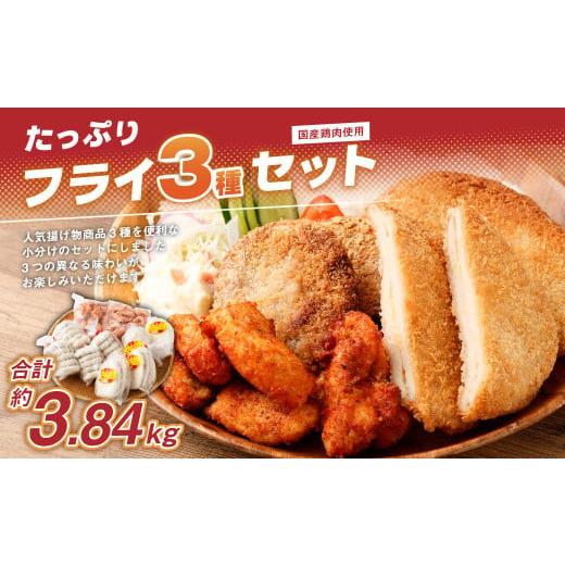 ふるさと納税 肉 揚げ物 宮崎県 高鍋町 国産鶏肉使用 フライ3種セット 2か月以内に順次出荷 計約3.84kg 計10パック チーズインチキンフライ ネギみそメンチカ…