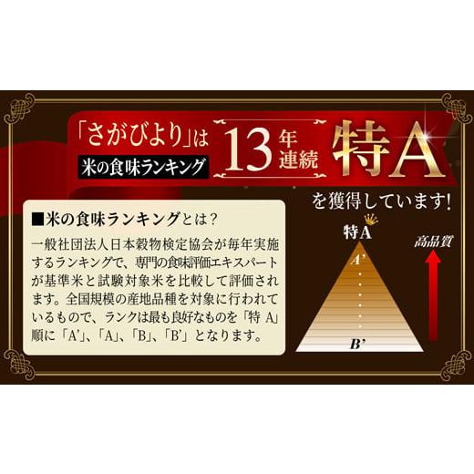 ふるさと納税 佐賀県 大町町 [令和5年産]特A評価！『さがびより白米10kg』 OB0002｜furusatochoice｜02