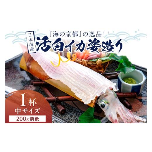 ふるさと納税 いか 京都府 京丹後市 日本海産『海の京都』の珠玉  活白いか姿からだ付き（水晶真っ白いか）中大きさ 1杯（200g前後）（2026年6月上旬〜送りとどける） ふ…