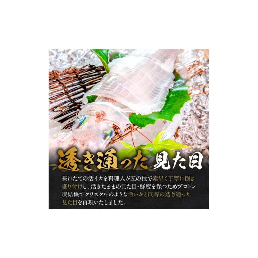ふるさと納税 いか 京都府 京丹後市 日本海産『海の京都』の珠玉  活白いか姿からだ付き（水晶真っ白いか）中大きさ 1杯（200g前後）（2026年6月上旬〜送りとどける） ふ…