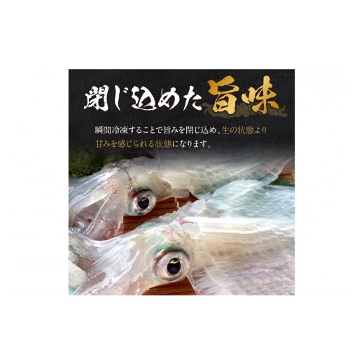 ふるさと納税 いか 京都府 京丹後市 日本海産『海の京都』の珠玉  活白いか姿からだ付き（水晶真っ白いか）中大きさ 1杯（200g前後）（2026年6月上旬〜送りとどける） ふ…