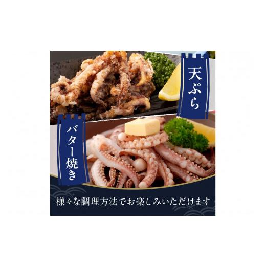 ふるさと納税 いか 京都府 京丹後市 日本海産『海の京都』の珠玉  活白いか姿からだ付き（水晶真っ白いか）中大きさ 1杯（200g前後）（2026年6月上旬〜送りとどける） ふ…