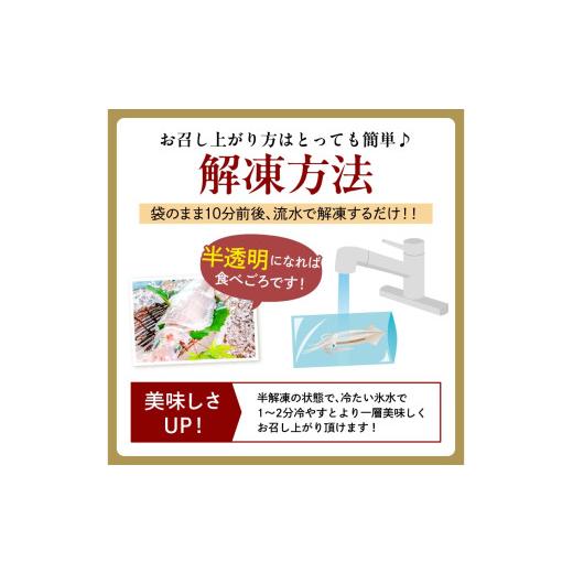 ふるさと納税 いか 京都府 京丹後市 日本海産『海の京都』の珠玉  活白いか姿からだ付き（水晶真っ白いか）中大きさ 1杯（200g前後）（2026年6月上旬〜送りとどける） ふ…