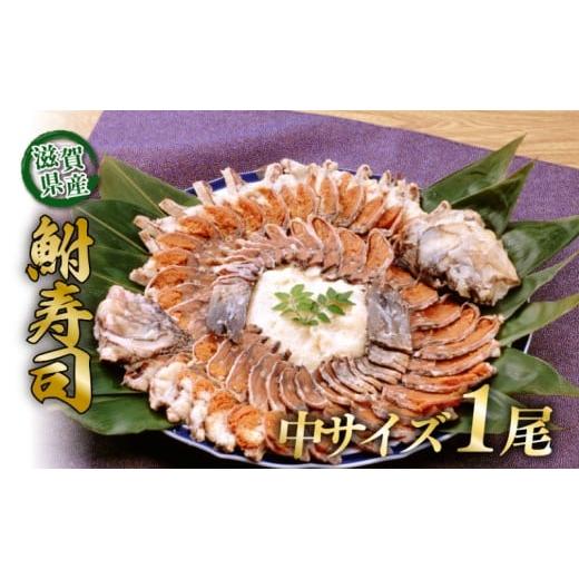 ふるさと納税 寿司 滋賀県 彦根市 びわ湖産天然 鮒寿し 中 サイズ フナ 鮒ずし 鮒寿司 鮒寿し 鮒鮨 ふなずし おつまみ 晩酌 肴 川魚 湖魚 魚 国産 天然 琵琶…