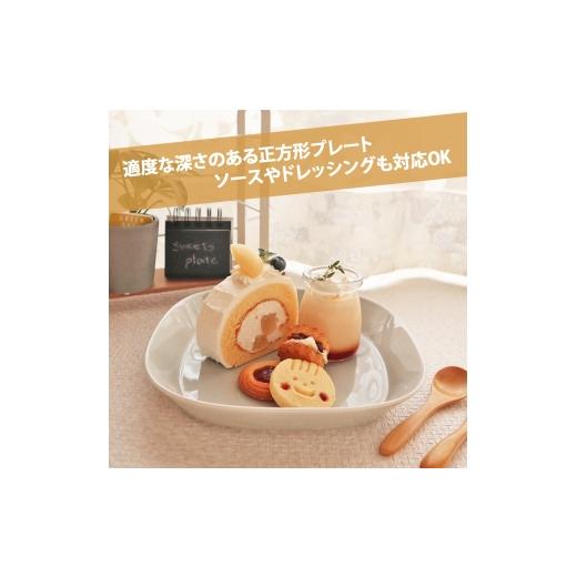 ふるさと納税 食器・グラス 皿 岐阜県 瑞浪市  美濃焼 プレーリー グレー プレートL 2枚セット 瑞浪市 ／ JS企画 小田陶器 セット 食器 プレート 皿 小皿 AZAZ…の画像