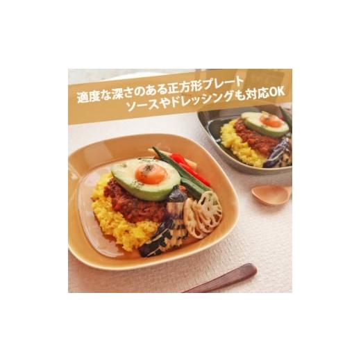 ふるさと納税 食器・グラス 皿 岐阜県 瑞浪市  美濃焼 プレーリー マスタード プレートL 2枚セット 瑞浪市 ／ JS企画 小田陶器 セット 食器 プレート 皿 小皿 …の画像