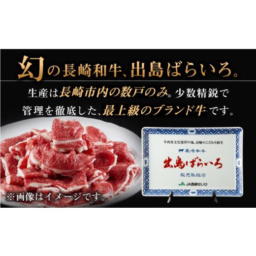 ふるさと納税 牛 焼肉・丸焼き 長崎県 佐々町  全12回定期便 長崎和牛 出島ばらいろ 特選焼肉 仕かける （ロース カルビ カタロース 桃 のいずれか2種…