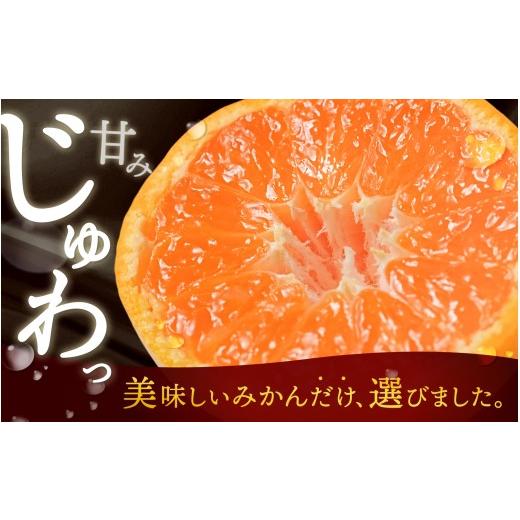 ふるさと納税 果物類 みかん 和歌山県 紀美野町 ＼光センサー選別／極 有田みかんプレミアム 約2kg 選りすぐりの上位20％をお届け 2S〜L＼サイズ 有機質肥料10… |  | 03