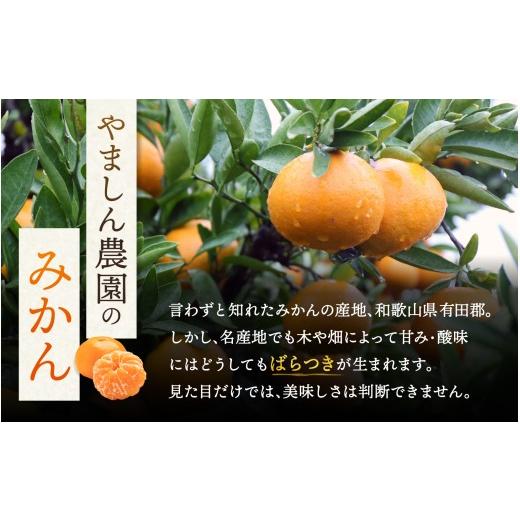 ふるさと納税 果物類 みかん 和歌山県 紀美野町 ＼光センサー選別／極 有田みかんプレミアム 約2kg 選りすぐりの上位20％をお届け 2S〜L＼サイズ 有機質肥料10… |  | 04